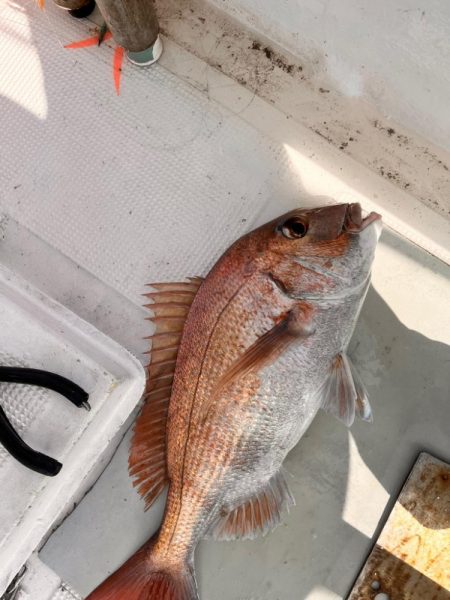 スーパーライトジギング