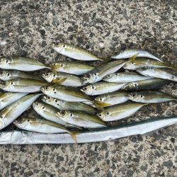 リハビリアジング