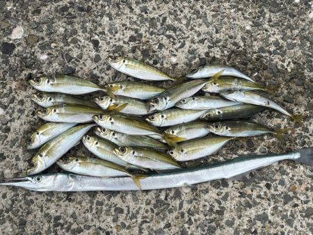 リハビリアジング