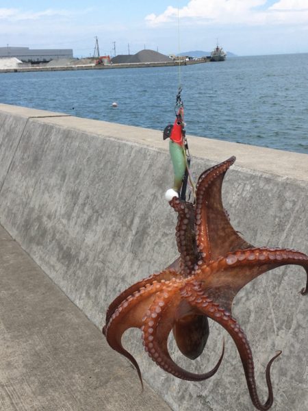 移動すること3ヶ所目でようやくゲット