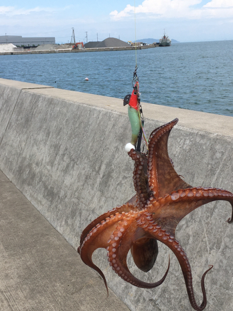 移動すること3ヶ所目でようやくゲット