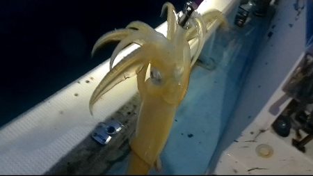 釣り仲間とイカメタル