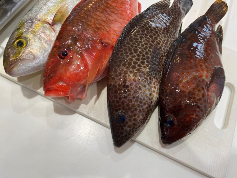 久しぶりの南紀！