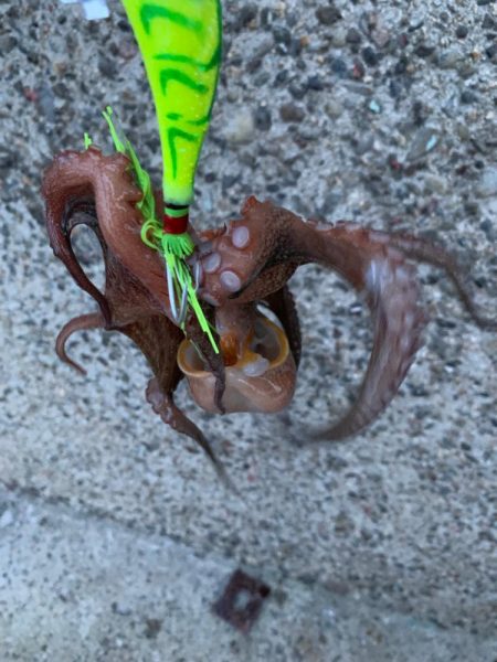 続く週末の激渋。