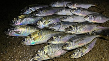 爆風の中で爆釣