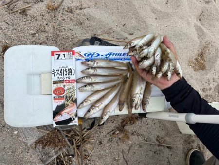 弓ヶ浜キス釣り