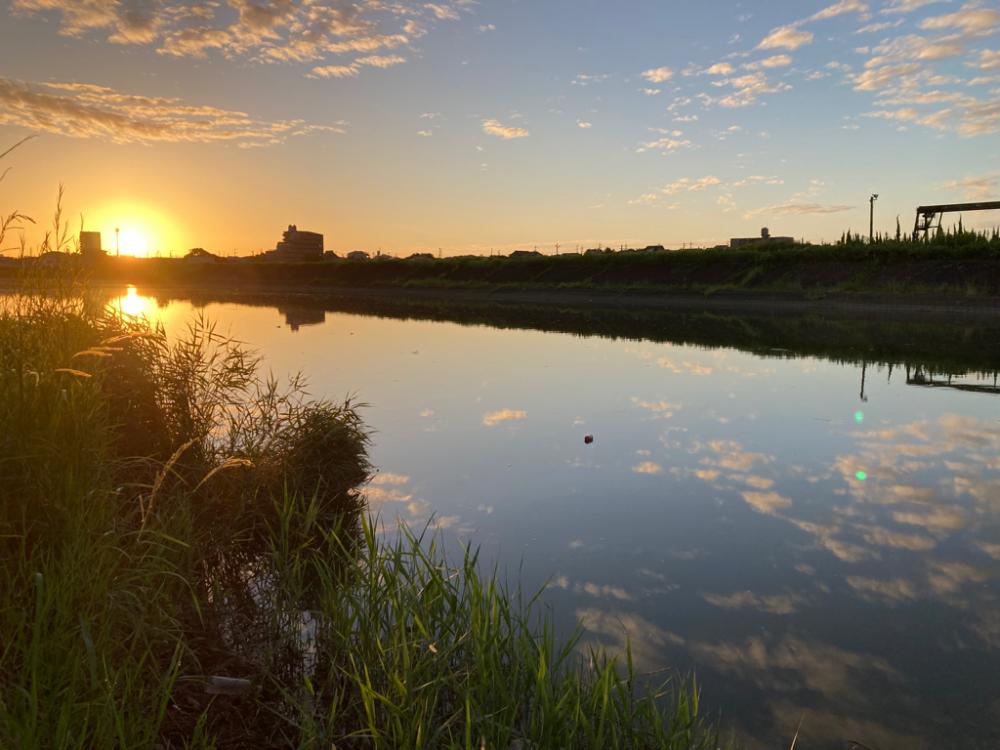 河口でシーバス