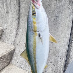 アジュール舞子で