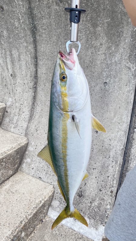 アジュール舞子で