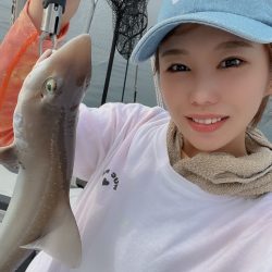 サメ🦈