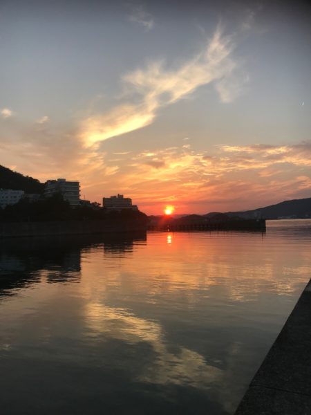 大羽イワシ少なくなった。