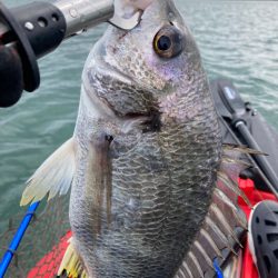 カヤックでトップチヌ