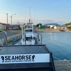 和歌山イカメタル