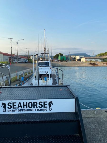 和歌山イカメタル