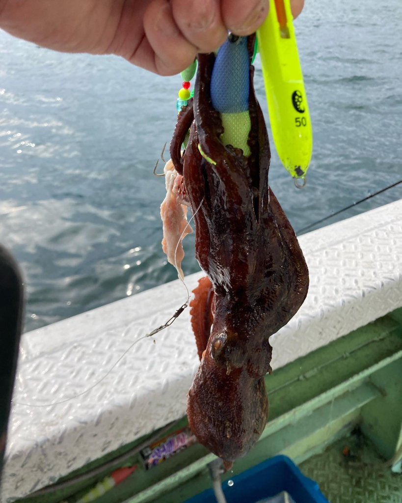 淡路沖船タコ🐙