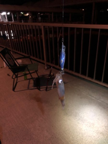 【ベイカ探し】岡山遠征