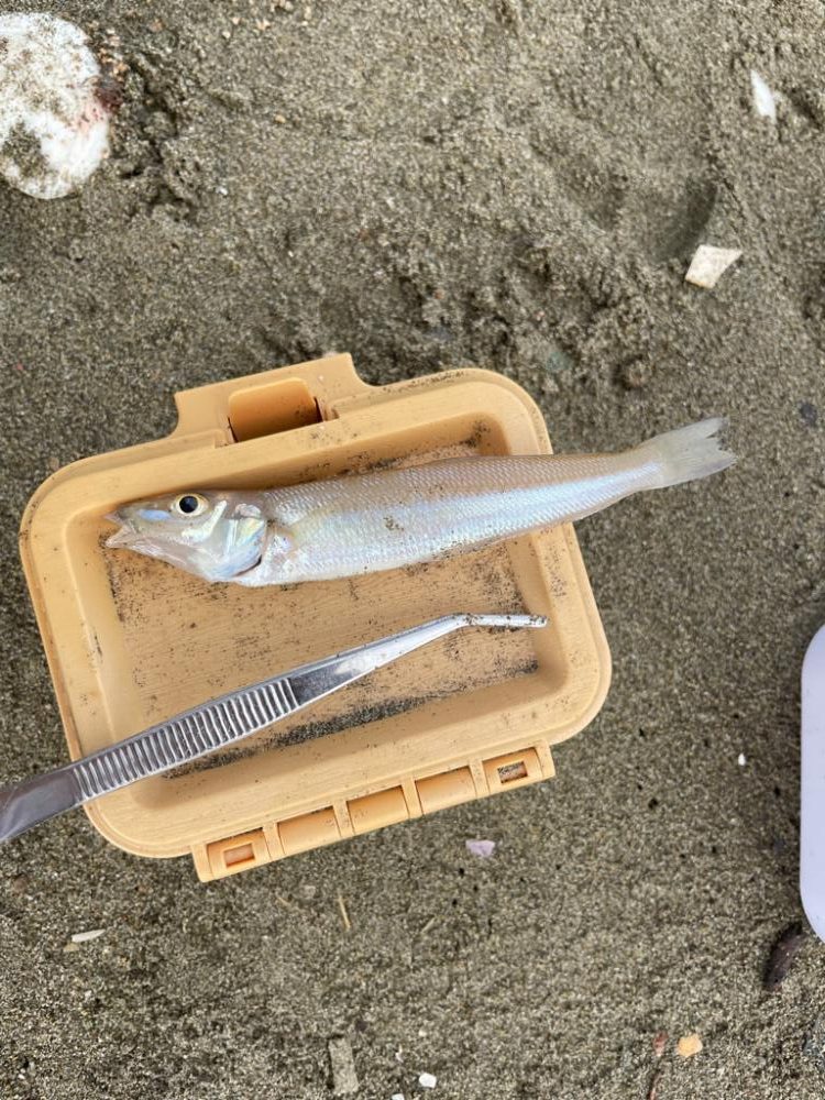 キスは何処へ、、、