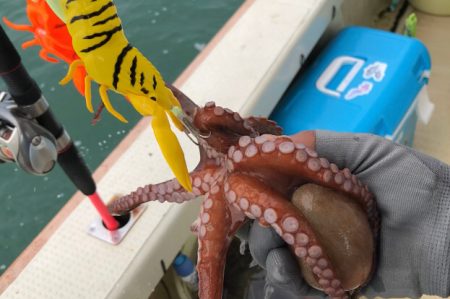 舟タコもうストック切れ⁈