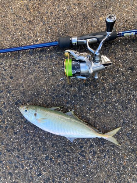 入れ食いすぎて飽きました