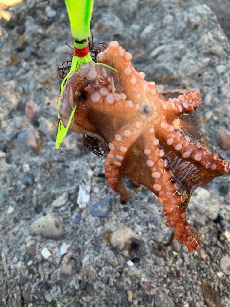 昨日とは打って変わって。