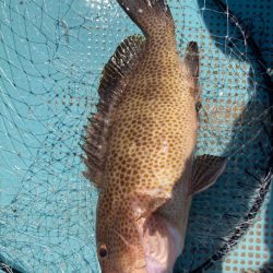 レンタルボートで