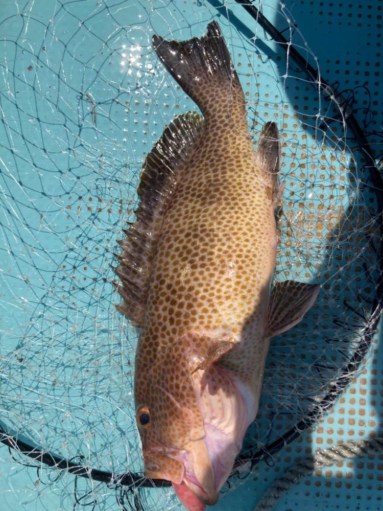 レンタルボートで