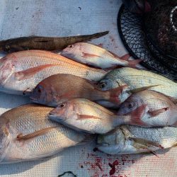 関門一つテンヤ