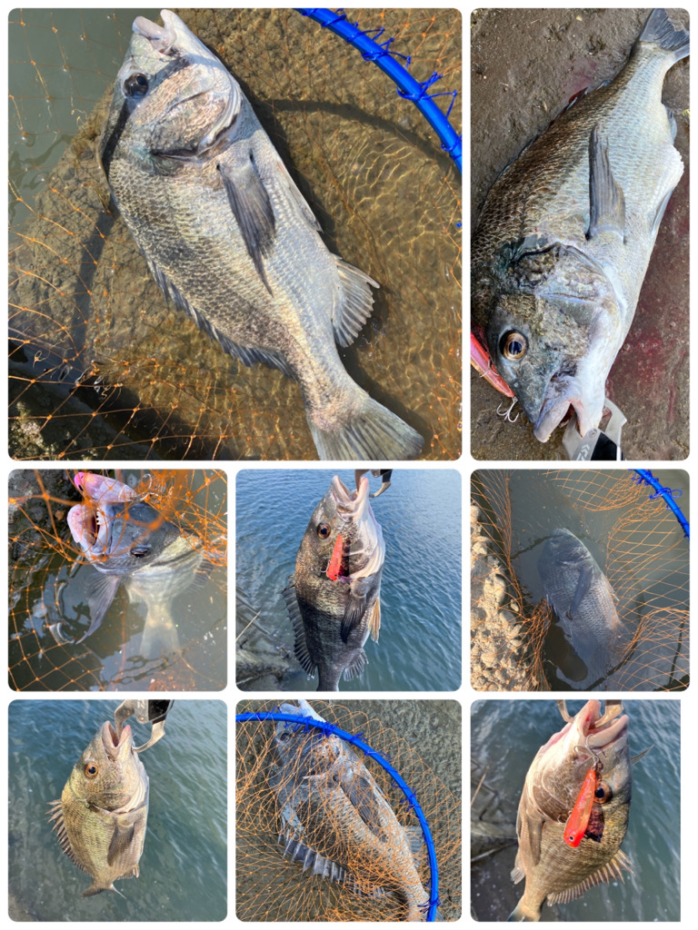 トップチニング 最盛期