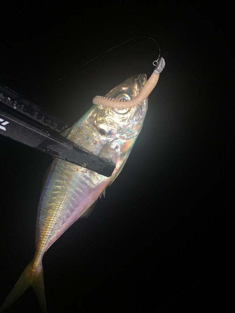 アジング!小悪魔ジグヘッドにて