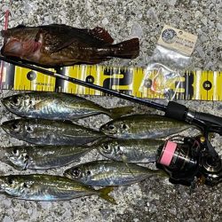 流れ込みがある地磯でアジング