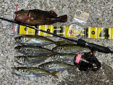 流れ込みがある地磯でアジング