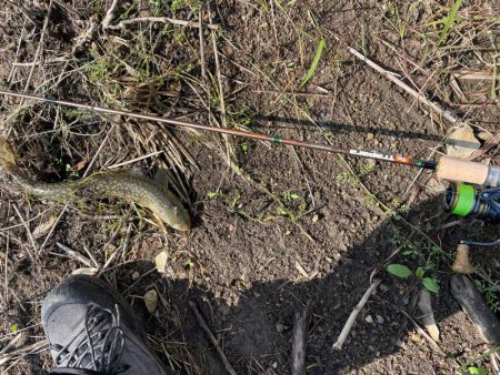 湖、渓流釣行！