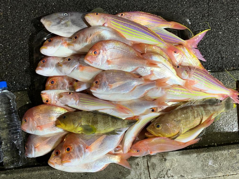 マイボートでアマダイ狙い。