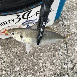 久々のサイズ🐟