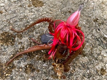 ラバだまを落とすだけでタコが釣れるにゃー！…