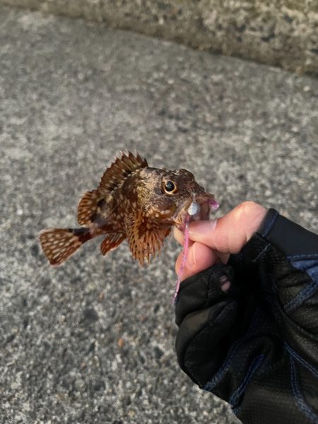 友達とガシリング