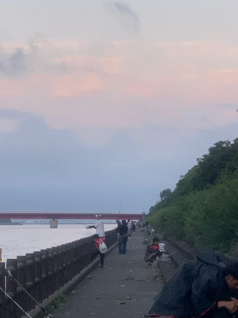 タコの重みを感じたくて!