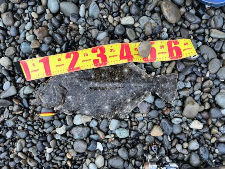 ジャックアイマキマキはなんでも釣れちゃう！…