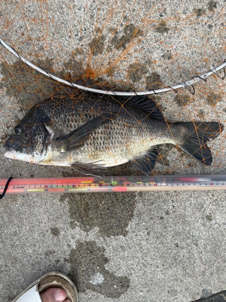 いつもの場所で、いつものフカセ釣り！