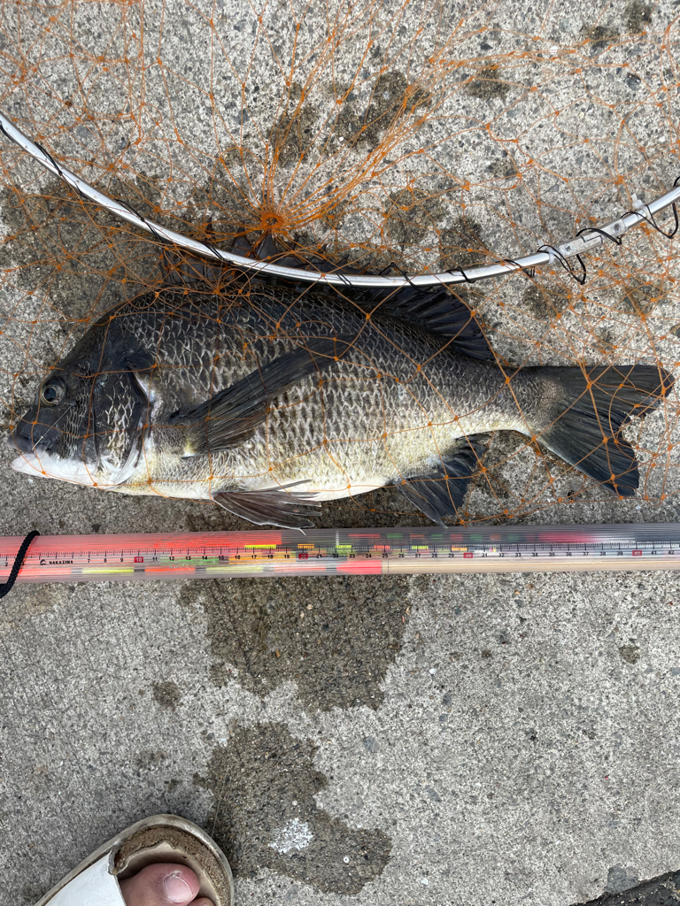 いつもの場所で、いつものフカセ釣り!