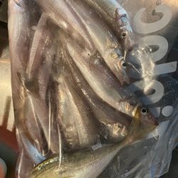 深川富士見タコキス