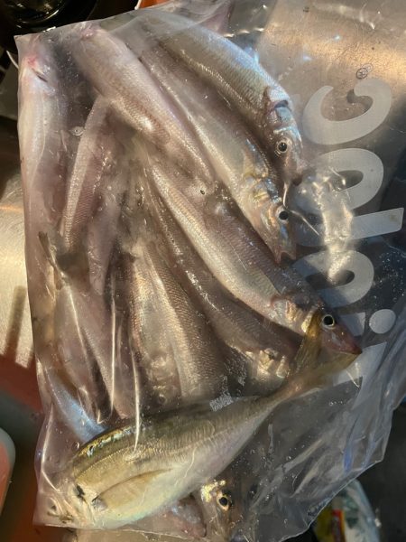 深川富士見タコキス