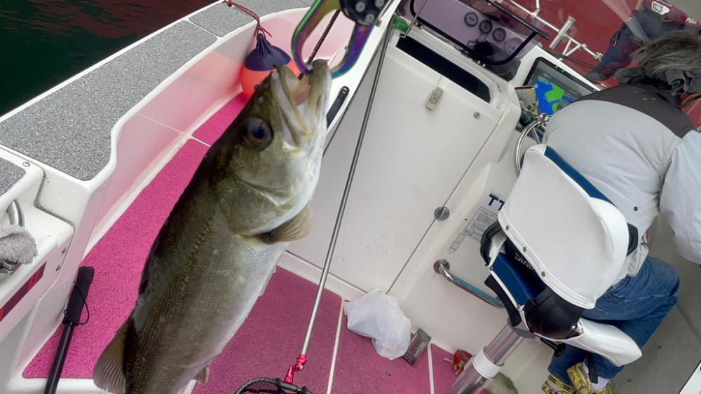 またもや渋々(苦笑)