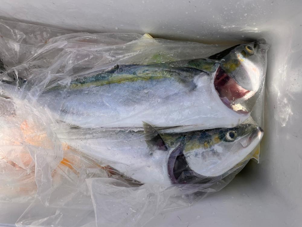 スーパーライトジギング