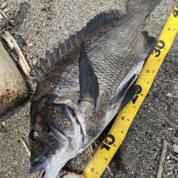 オーバーザレインボー