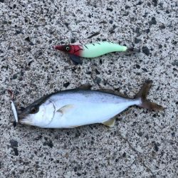 マイクロジギング？