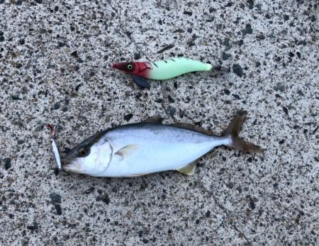 マイクロジギング？