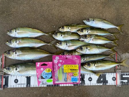 華弍S68FL鱗付け