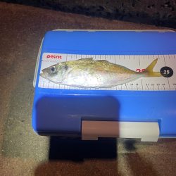 とびしま海道にて