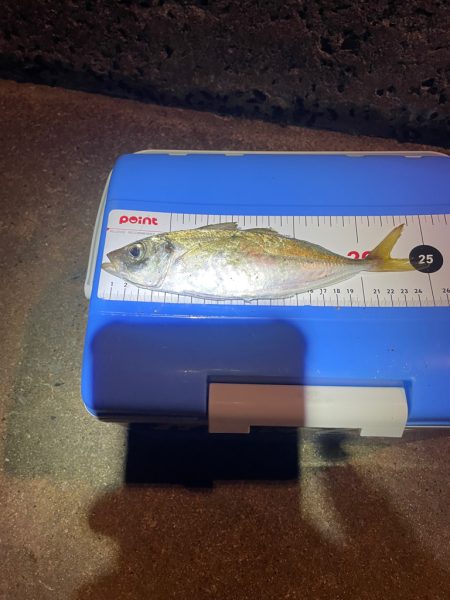 とびしま海道にて